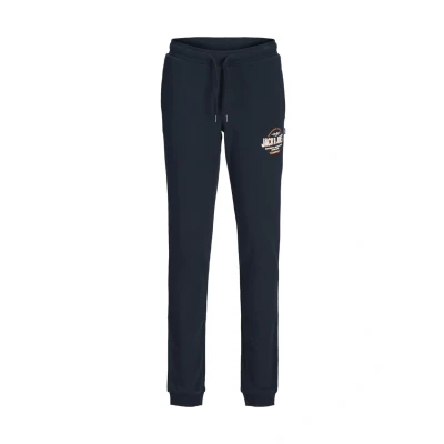 Abbildung von Jack &amp; Jones Junior Sweathose JPSTELOGO SWEATPANTS 2COL 24/25 NOOS JNR