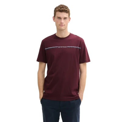 Abbildung von TOM Tailor Tshirt print, Herren, Größe: Small, Gipsy purple