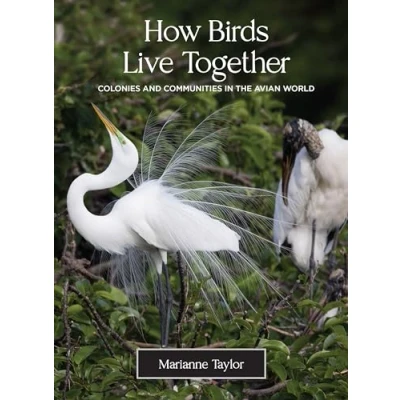 Abbildung von How Birds Live Together: Colonies and Communities in the Avian World