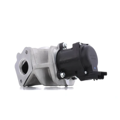 Abbildung von DELPHI EG10401 12B1 AGR Ventil mit Dichtungen FORD: Focus 2 Schrägheck, Kombi, FIESTA 6, VOLVO: C30, V50, V70 3, MAZDA: 3 Hatchback kfzteile,