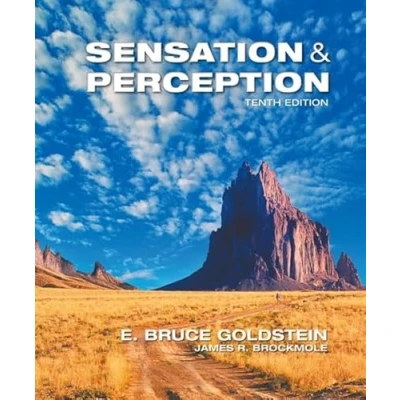 Abbildung von Sensation and Perception