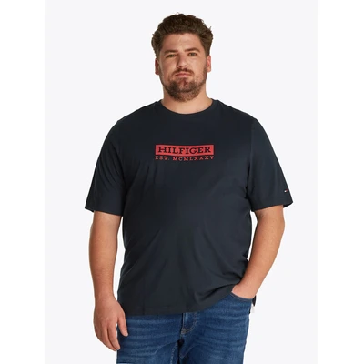 Abbildung von Tommy Hilfiger Graphic TEE Tshirt print, Herren, Größe: 5XL, Desert sky