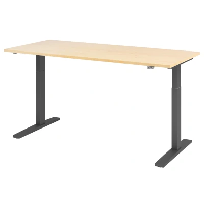 Abbildung von Hammerbacher Schreibtisch XMKA19 Ahorn/Graphit