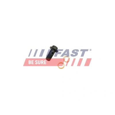 Abbildung von FAST FT38931 Hohlschraube, Lader RENAULT: MASTER 3 Bus, NISSAN: Qashqai 2
