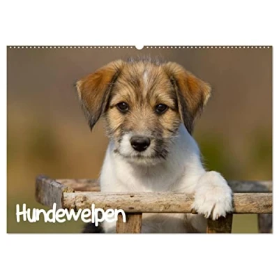 Abbildung von Hundewelpen (Wandkalender 2025 DIN A2 quer), CALVENDO Monatskalender