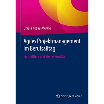 Abbildung von Agiles Projektmanagement im Berufsalltag: Für mittlere und kleine Projekte