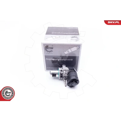 Abbildung von GT BERGMANN GT55 039 AGR Ventil elektrisch BMW: 3 Touring, X5, 5 Limousine