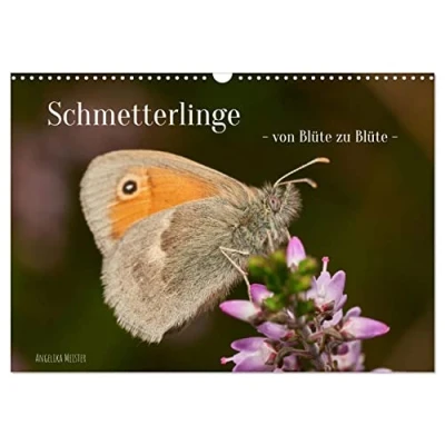 Abbildung von Schmetterlinge von Blüte zu (Wandkalender 2025 DIN A3 quer), CALVENDO Monatskalender
