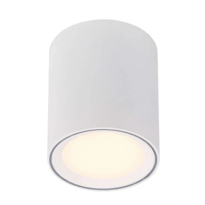 Abbildung von Nordlux LED Deckenspot Fallon, Dimmfunktion, fest integriert, Warmweiß, Deckenleuchte