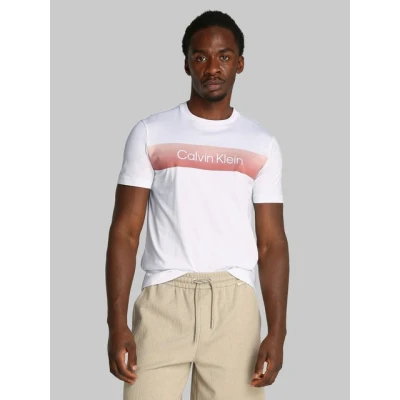 Abbildung von Calvin Klein Linear Ombre Chest LOGO Tshirt print, Herren, Größe: Medium, Bright white