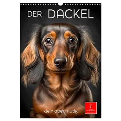 Abbildung von Der Dackel klein aber mutig (Wandkalender 2025 DIN A3 hoch), CALVENDO Monatskalender