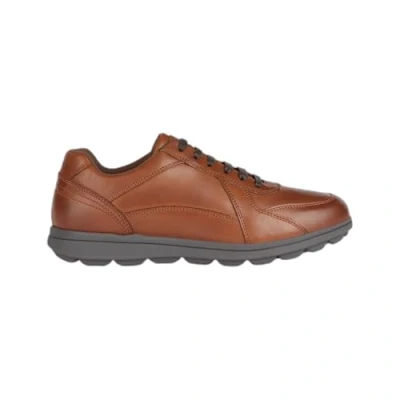 Abbildung von Geox U Spherica Sneaker low, Herren, Größe: 44, Cognac Schuhe