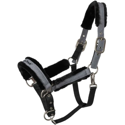 Abbildung von Back on Track Halfter Haze Grau Warmblut Agradi.deVerkauft von Agradi