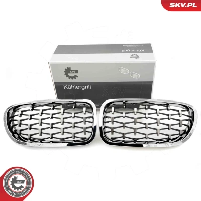 Abbildung von ESEN SKV 66SKV192 Kühlergrill silber BMW: 5 Limousine, Touring