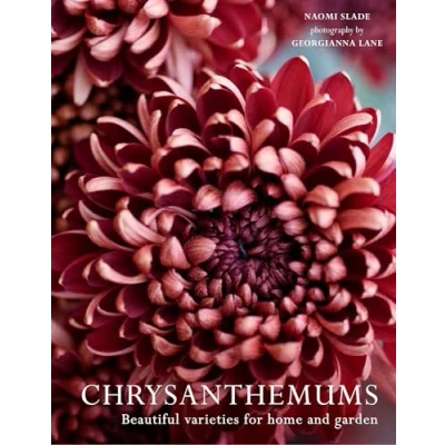Abbildung von Chrysanthemums: the ultimate guide for growing and cutting flower varieties home garden