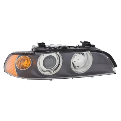 Abbildung von HELLA 1EL 008 053 521 Scheinwerfer BMW: 5 Limousine, Touring