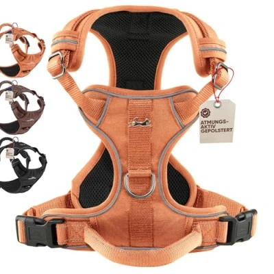 Abbildung von FREUDENTIER Hundegeschirr mit Mesh Polsterung Höchster Komfort, bombenfester Sitz &amp; maximale Sicherheit Anti Zug Frontring Brustgeschirr für große, mittelgroße und kleine Hunde (Orange, XL)