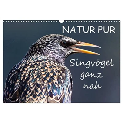 Abbildung von NATUR PUR Singvögel ganz nah (Wandkalender 2025 DIN A3 quer), CALVENDO Monatskalender