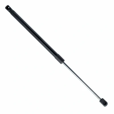 Abbildung von EINPARTS EP10148GS Heckklappendämpfer 700 482 OPEL: Signum CC