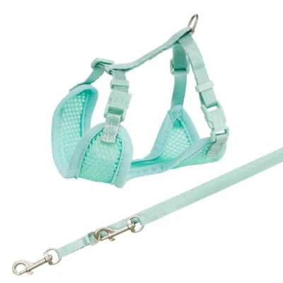 Abbildung von Trixie Junior Puppy Soft Harness With Leash Mint 2634 cm/10 mm 2 m