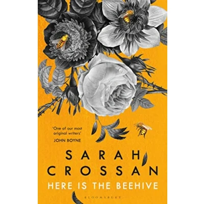 Abbildung von Here is the Beehive: Shortlisted for Popular Fiction Book of Year in AN Post Irish Awards