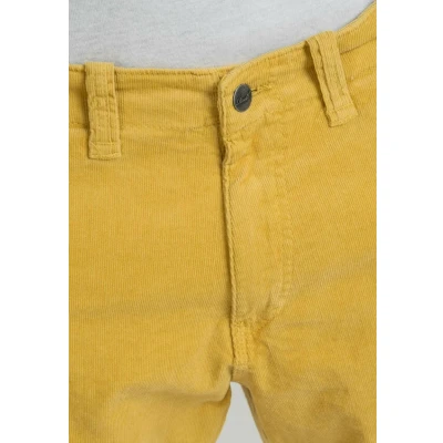 Abbildung von Reell CITY Shorts, Herren, Größe: 36, Baby cord hemp