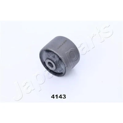 Abbildung von JAPANPARTS RU 4143 Achslager Hinterachse