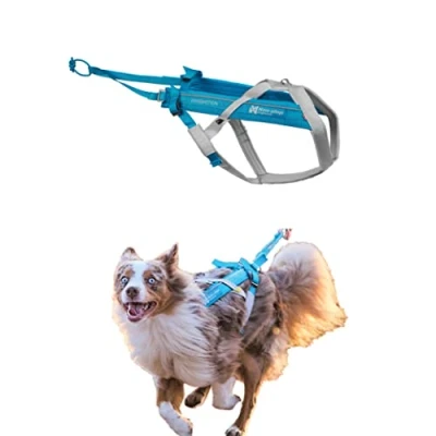 Abbildung von Non stop dogwear FREEMOTION Harness 5.0 111 Blue/Grey Hunde Geschirr für alle Sportarten, Größe:6