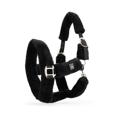 Abbildung von Mrs. Ros Halfter Bunt Schwarz Warmblut