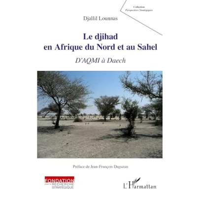 Abbildung von Le djihad en Afrique du Nord et au Sahel: D&#039;AQMI à Daech