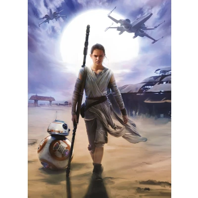 Abbildung von Komar Fototapete &quot;STAR WARS Rey&quot;, 184x254 cm (Breite x Höhe), inklusive Kleister