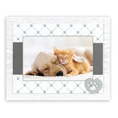 Abbildung von matches21 HOME &amp; HOBBY Bilderrahmen Holz weiß/grau Hund, Pfoten Katze 1 Stk 10x15 cm, Haustier