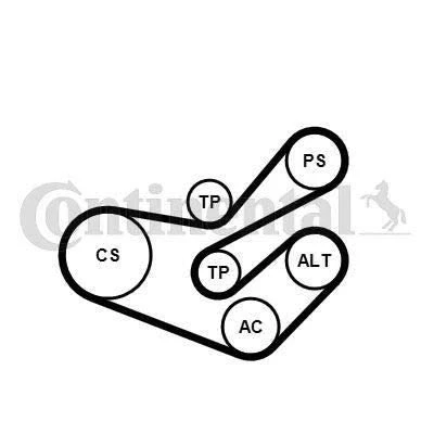 Abbildung von CONTITECH 6PK1750K3 Keilrippenriemensatz mit Spanndämpfer, Spannrolle CITROËN: Berlingo / First I, I Kastenwagen