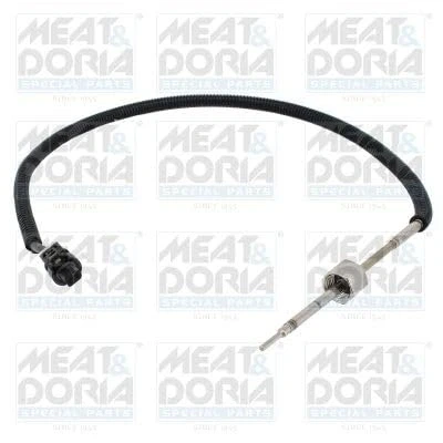 Abbildung von Sensor, Abgastemperatur MEAT &amp; DORIA 12600