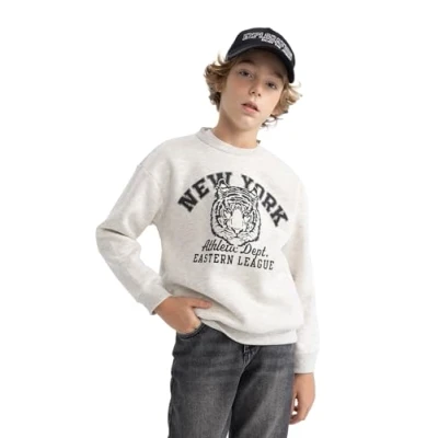 Abbildung von DeFacto Jungen Sweatshirt Bequeme Sweatshirts für Kinder Stylische Pullover und Fleecepullover