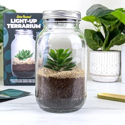 Abbildung von Solarbetriebenes Terrarium