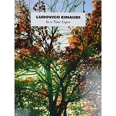Abbildung von Ludovico Einaudi In A Time Lapse Piano