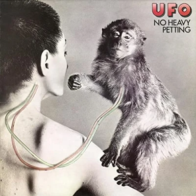 Abbildung von No Heavy Petting [Vinyl LP]