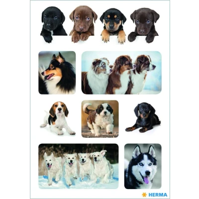 Abbildung von HERMA Aufkleber Hunde