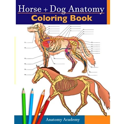 Abbildung von Horse + Dog Anatomy Coloring Book: 2 in 1 Compilation Incredibly Detailed Self Test Equine &amp; Canine Color workbook Perfect Gift for Veterinary Students, Animal Lovers Adults