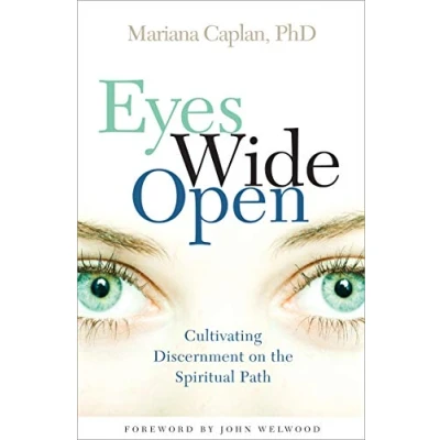 Abbildung von Eyes Wide Open: Cultivating Discernment on the Spiritual Path