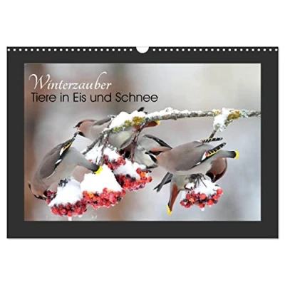 Abbildung von Winterzauber Tiere in Eis und Schnee (Wandkalender 2025 DIN A3 quer), CALVENDO Monatskalender