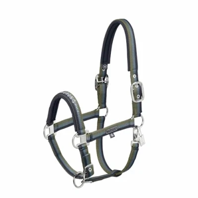 Abbildung von Eskadron Halfter Classic Sports Double Pin Navy/Steel Blue/Dusty Olive Warmblut Agradi.deVerkauft von Agradi