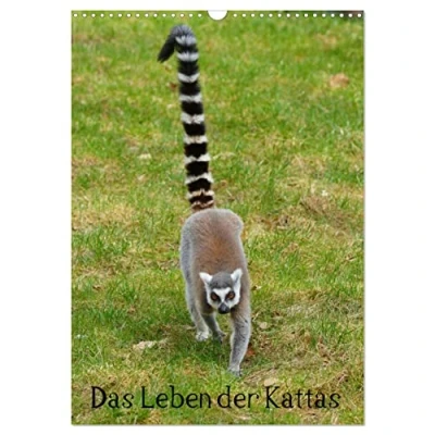 Abbildung von Das Leben der Kattas (Wandkalender 2025 DIN A3 hoch), CALVENDO Monatskalender