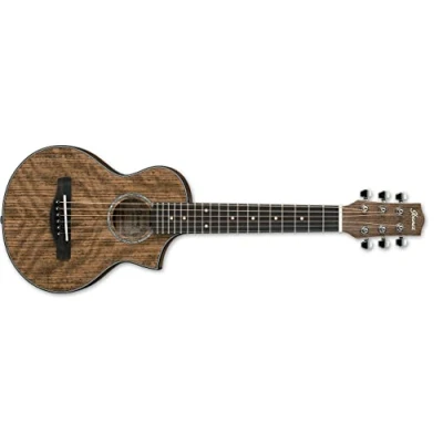 Abbildung von Ibanez EWP Series EWP14WB Electro acoustic guitar Open Pore Natural