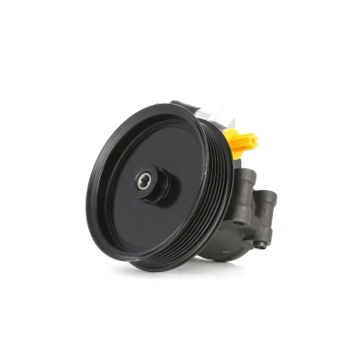 Abbildung von TRW JPR359 Hydraulikpumpe hydraulisch 100 7 125 FORD: Transit Mk5 Bus, Kastenwagen