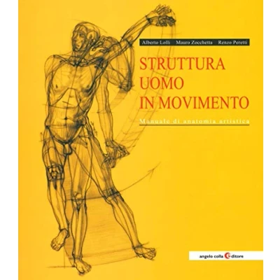 Abbildung von Struttura uomo in movimento. Manuale di anatomia artistica