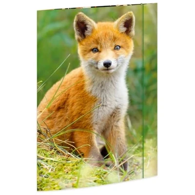 Abbildung von RNKVERLAG Zeichenmappe Fuchs 320 x 430 mm, für Formate bis DIN A3 mit Gummizugverschluss, 1 Stück