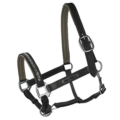 Abbildung von QHP Leren Halster Lupine