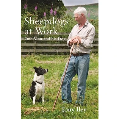 Abbildung von Sheepdogs at Work: One Man and His Dogs